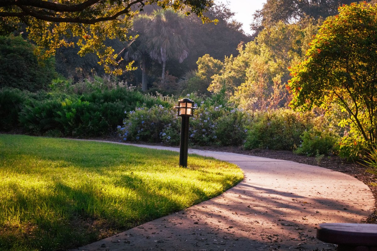 Outdoor / Garden lighting